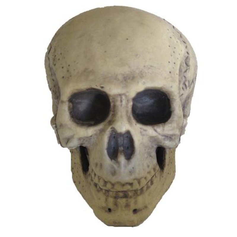 9.5" Foam Skull Prop - Jokers Costume Mega Store