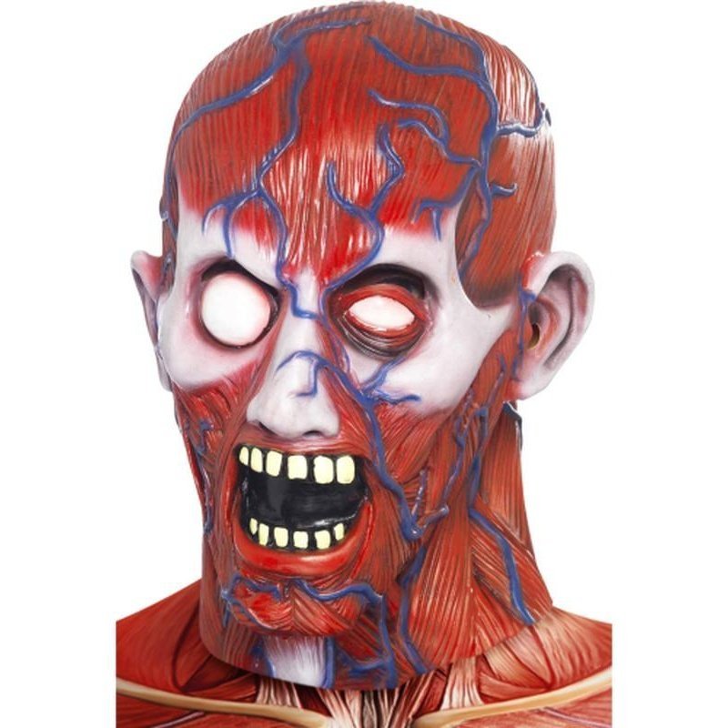 Anatomy Man Mask - Jokers Costume Mega Store
