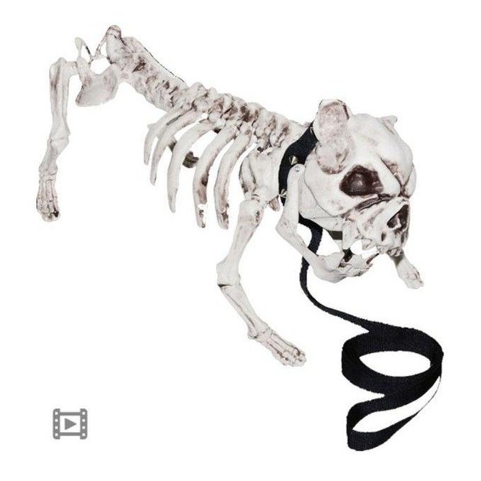 Animated Barking Skeleton Dog - Jokers Costume Mega Store