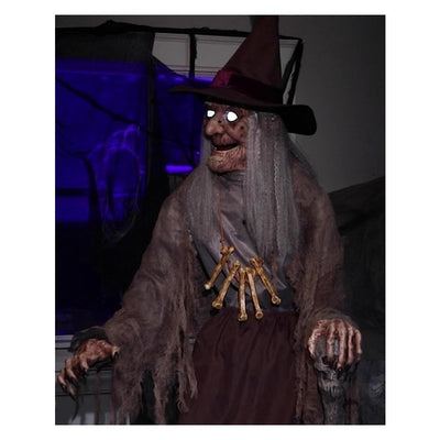 Animated Witch Prop With Servo Motor - Jokers Costume Mega Store