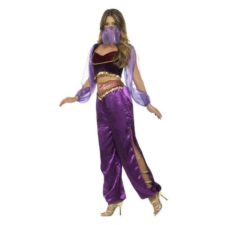 Arabian Princess Costume, Purple, with Trousers, Top & Face Veil - Jokers Costume Mega Store