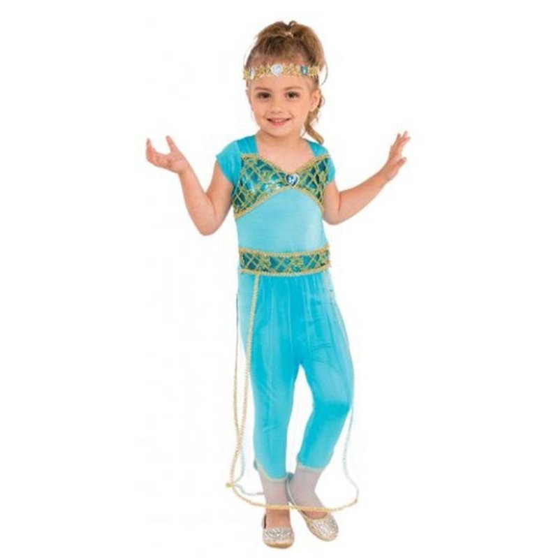 Arabian princess sale halloween costume