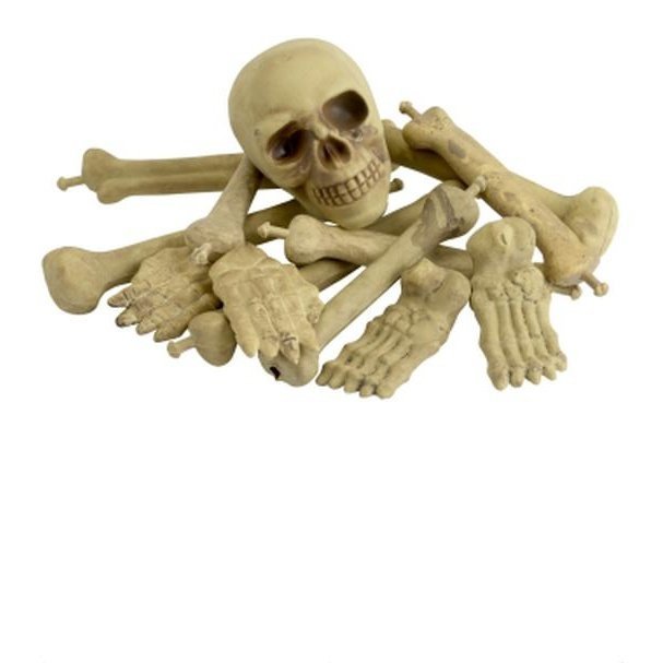 Bag Of Bones & Skull - Jokers Costume Mega Store