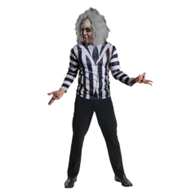 Beetlejuice Costume Kit Size Std - Jokers Costume Mega Store