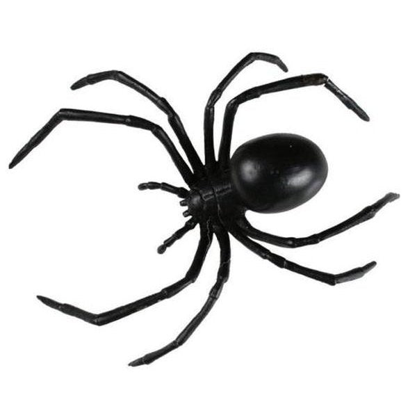 Black Widow Spider - Jokers Costume Mega Store