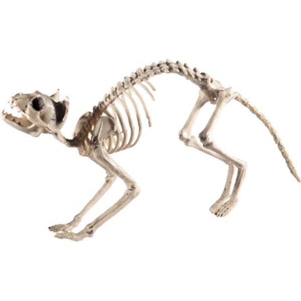 Cat Skeleton Prop - Jokers Costume Mega Store