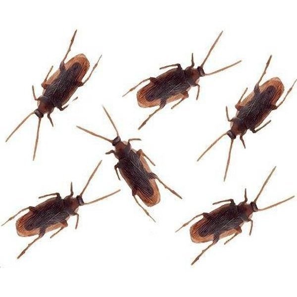 Cockroaches (25 Pack) - Jokers Costume Mega Store