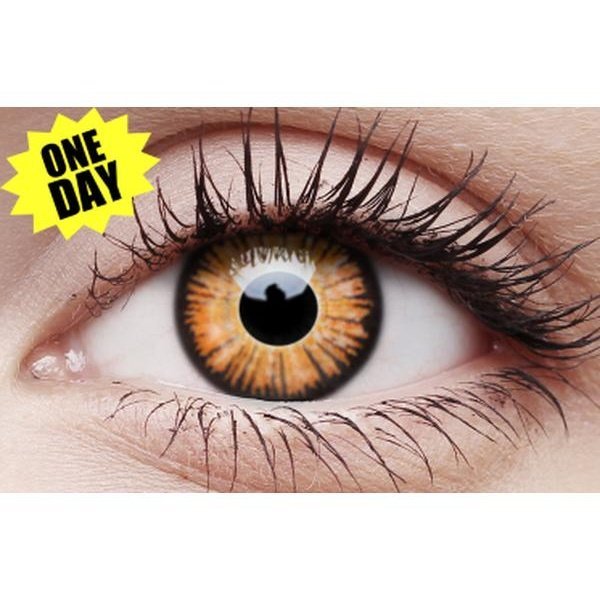 Crazy One-Day Contact Lens - Twilight - Jokers Costume Mega Store