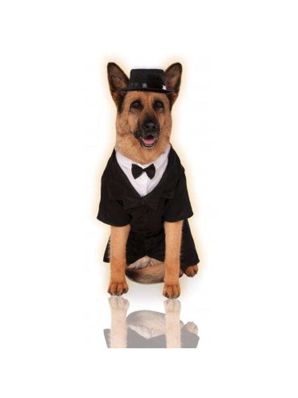 Dapper Dog Big Dog Pet Costume Size Xxxl - Jokers Costume Mega Store