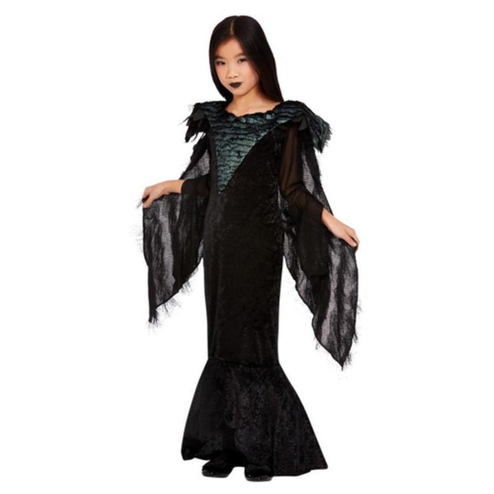 Deluxe Raven Princess Costume, Black - Jokers Costume Mega Store