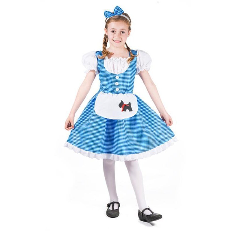 Dorothy Costume - Jokers Costume Mega Store