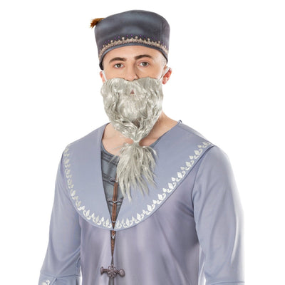 Dumbledore Costume, Adult - Jokers Costume Mega Store