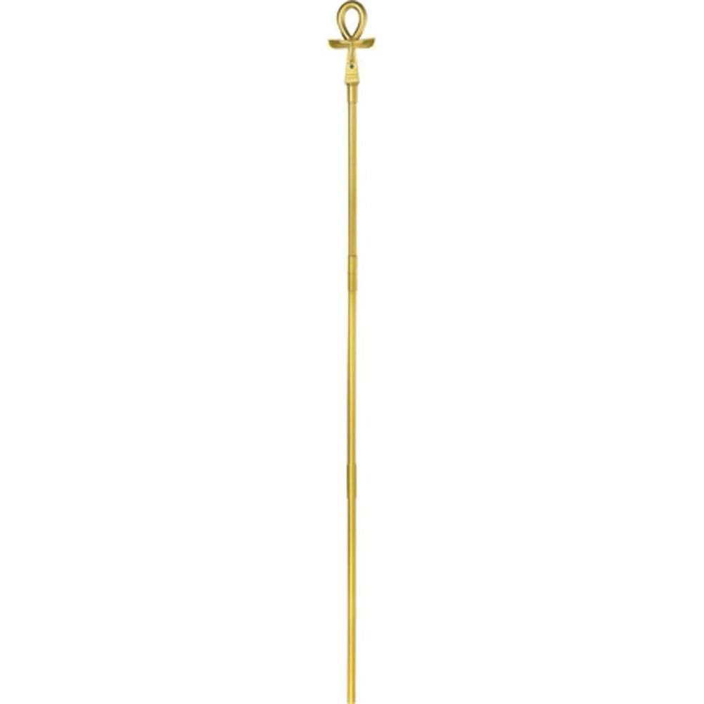Egyptian Staff Costume Accessory - Jokers Costume Mega Store