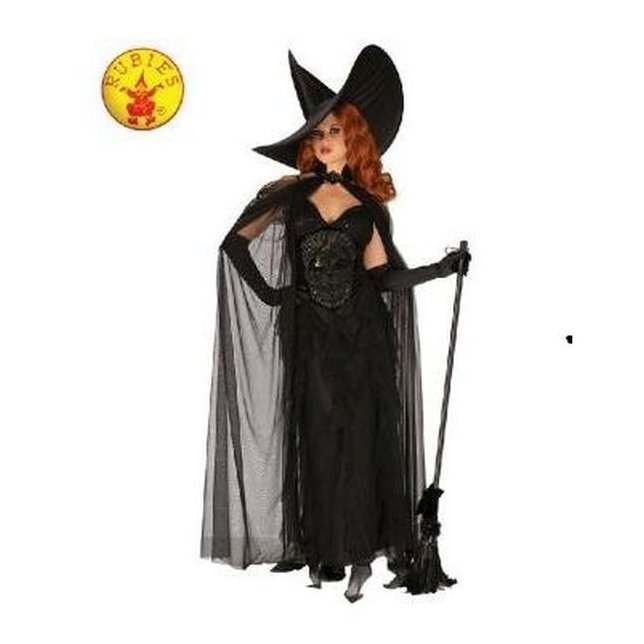 Elegant Witch Costume, Adult Medium - Jokers Costume Mega Store