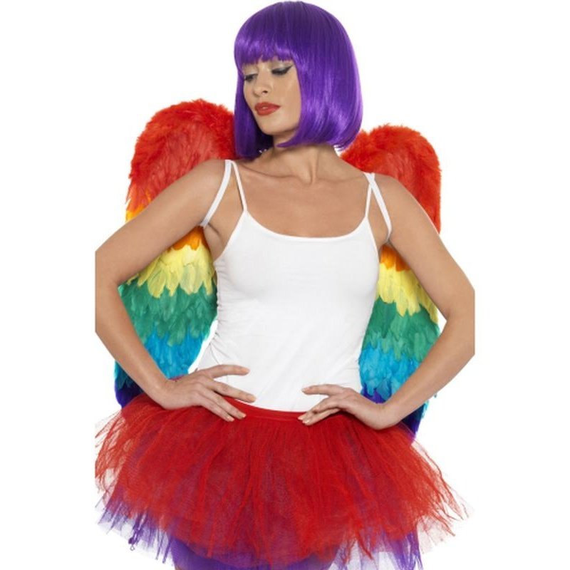 Feather Wings, Rainbow - Jokers Costume Mega Store