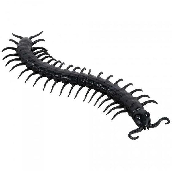 Giant Centipede Prop - Jokers Costume Mega Store