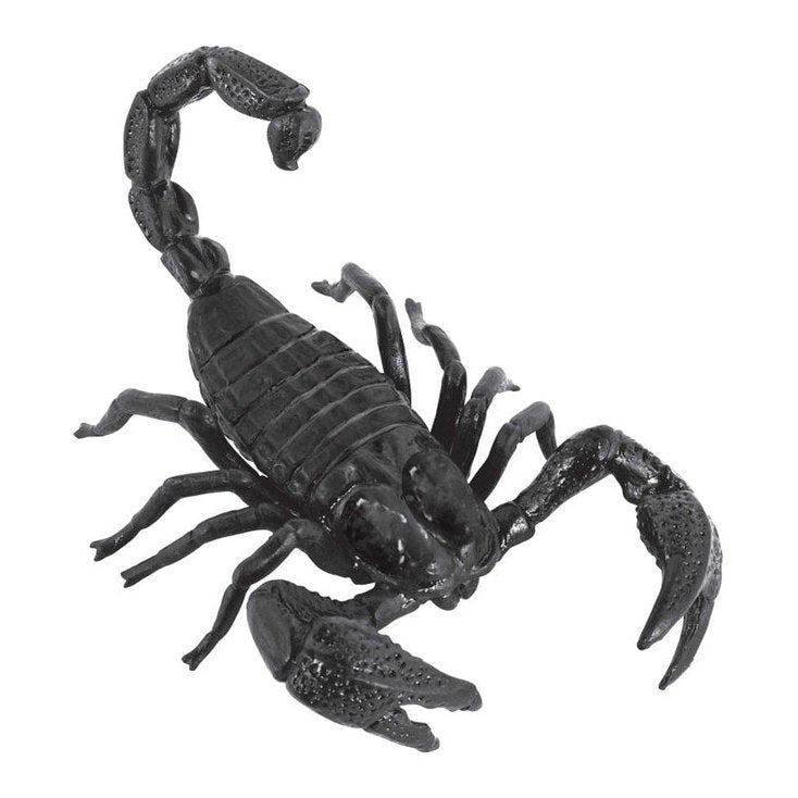 Giant Scorpion Prop 20cm - Jokers Costume Mega Store