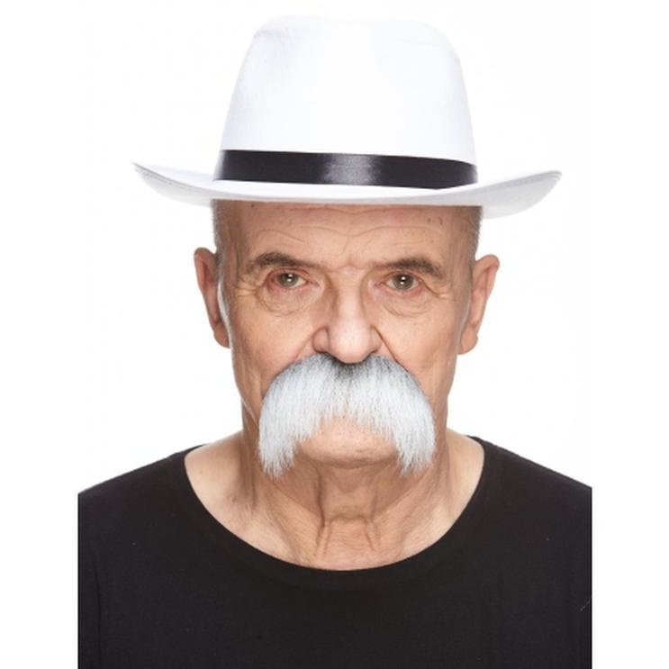 Grey Wild And West Moustache - Jokers Costume Mega Store