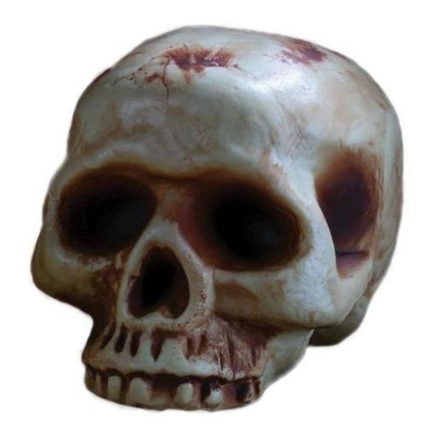 Half Jaw Skull Prop 20cm - Jokers Costume Mega Store