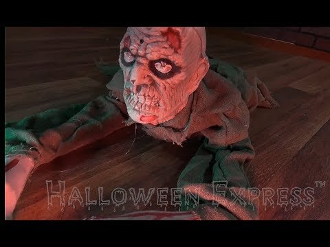 Crawling Zombie Animated