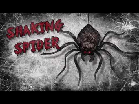 Hanging Shaking Spider