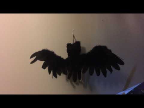 35" Animated Owl