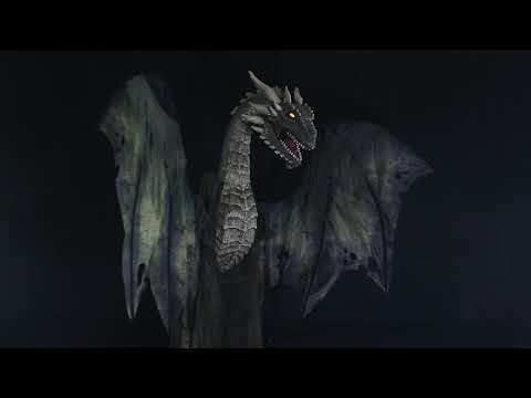 Animated Forest Forest Dragon