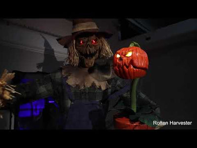 Animated Rotten Harvester