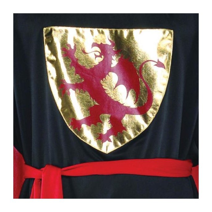 Knight Erich Men's Costume - Jokers Costume Mega Store