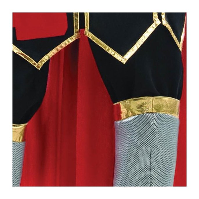 Knight Erich Men's Costume - Jokers Costume Mega Store