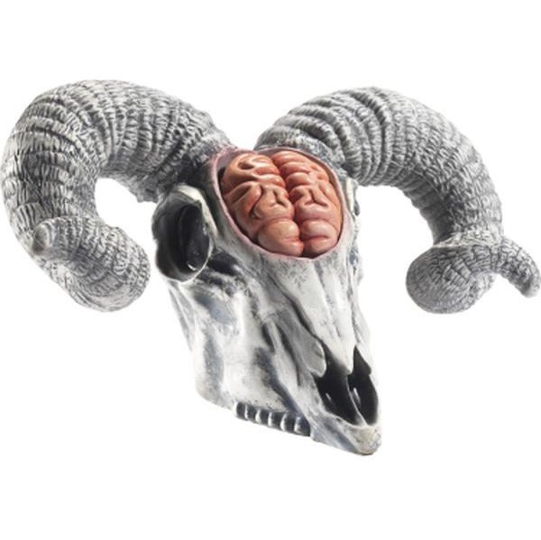 Latex Rams Skull Prop With Exposed Brain - Jokers Costume Mega Store