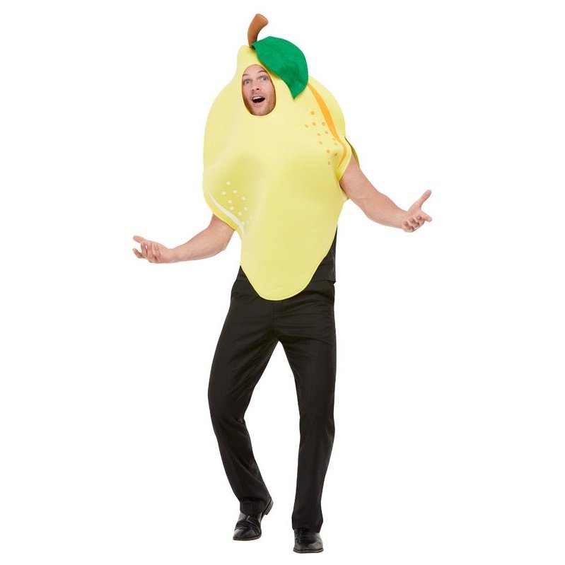 Lemon Costume - Jokers Costume Mega Store
