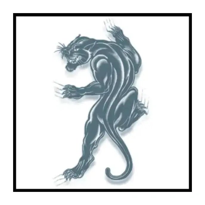 Panther Prison Temporary Tattoos - Jokers Costume Mega Store