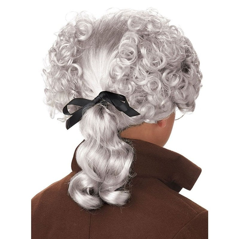 18th Century Boys Grey Costume Wig Peruke Party Accessory