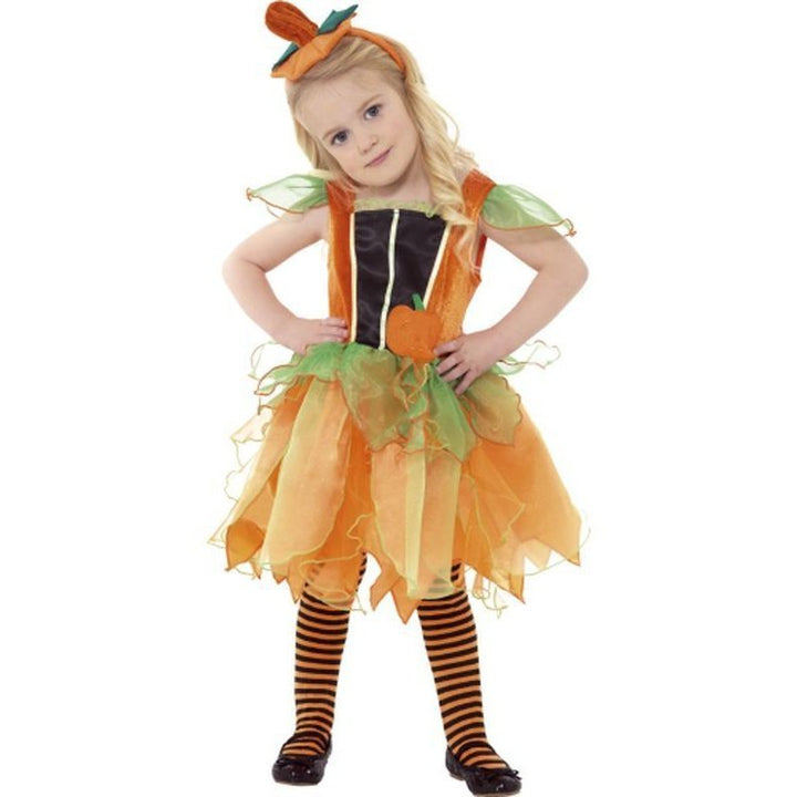 Pumpkin Fairy Costume - Jokers Costume Mega Store