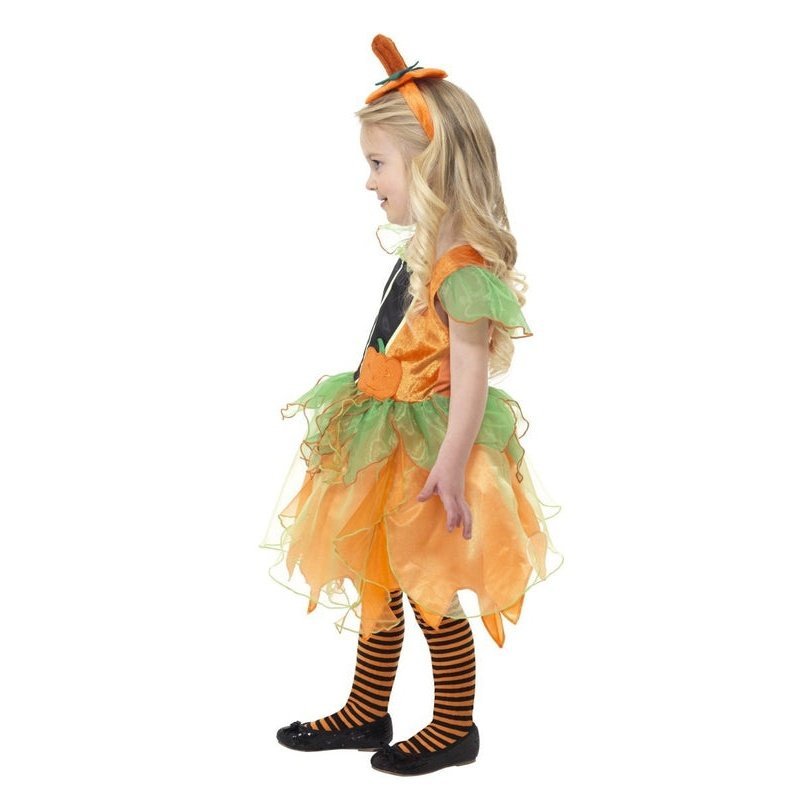 Pumpkin Fairy Costume - Jokers Costume Mega Store