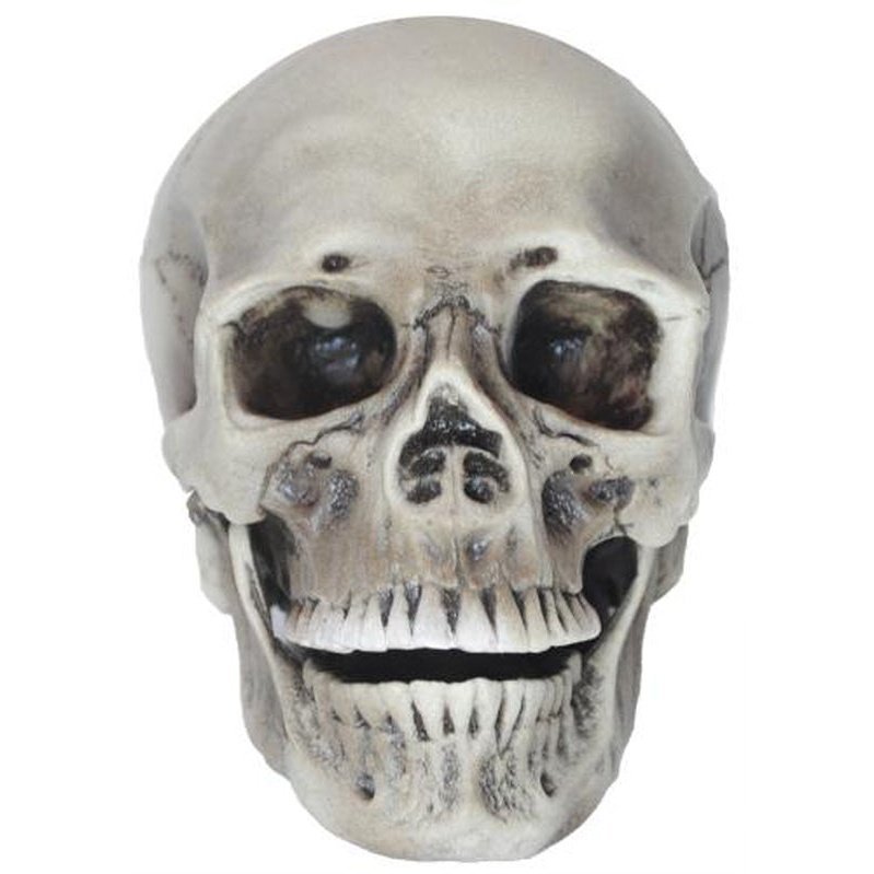 Realistic Rotting Skull - Jokers Costume Mega Store