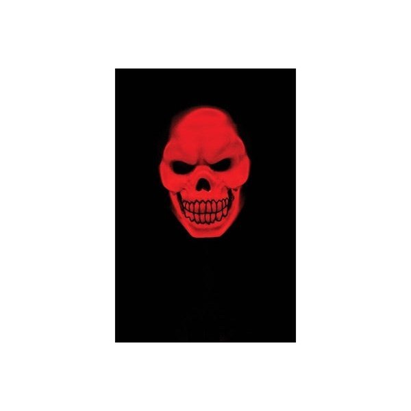 Red Skull Light Up Halloween Mask - Jokers Costume Mega Store