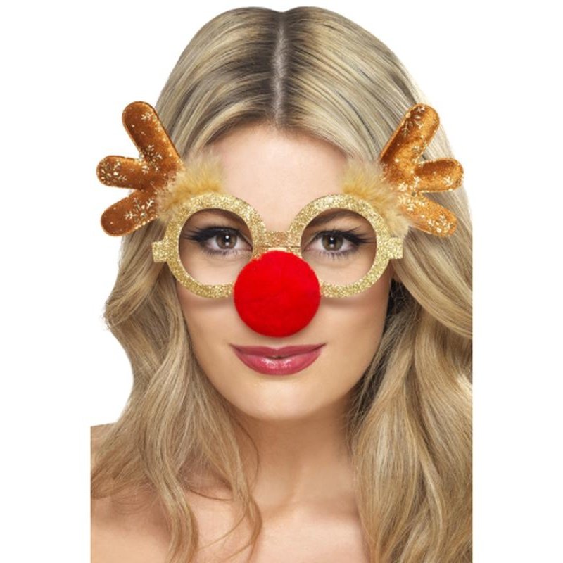 Reindeer Comedy Specs - Jokers Costume Mega Store