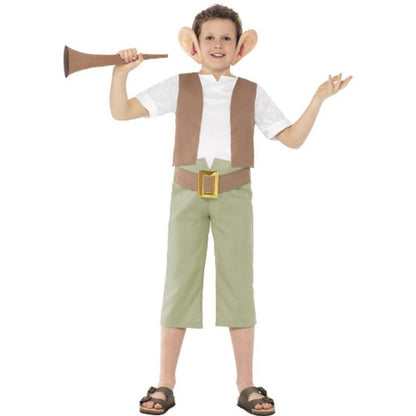 Roald Dahl Bfg Costume - Jokers Costume Mega Store