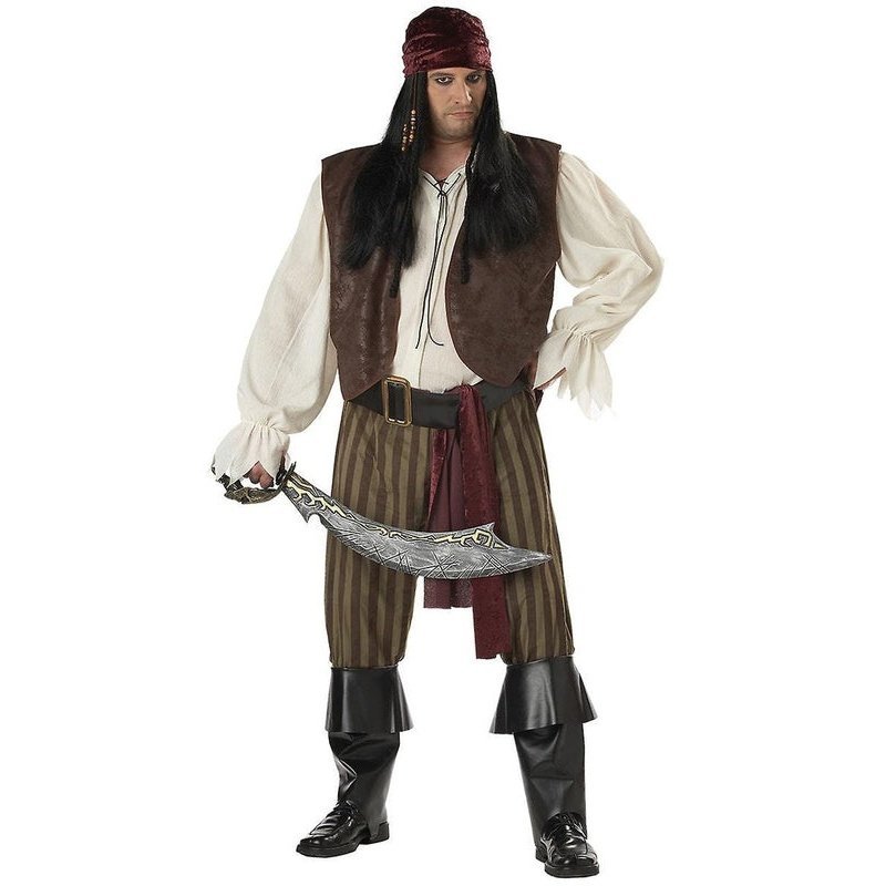 Rogue Pirate Plus Size Men's Costume - Jokers Costume Mega Store