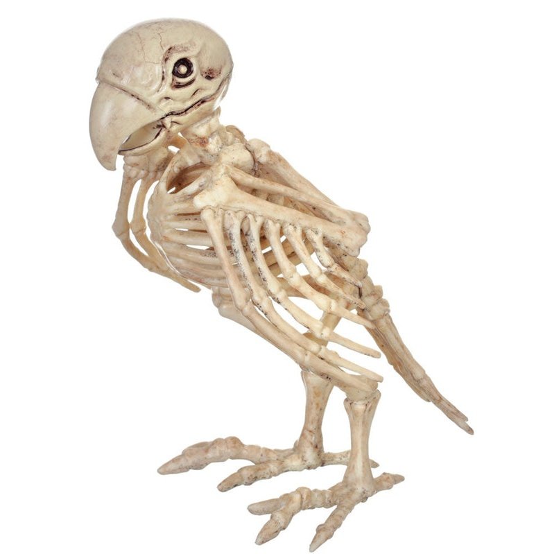 Skeleton Parrot Prop - Jokers Costume Mega Store