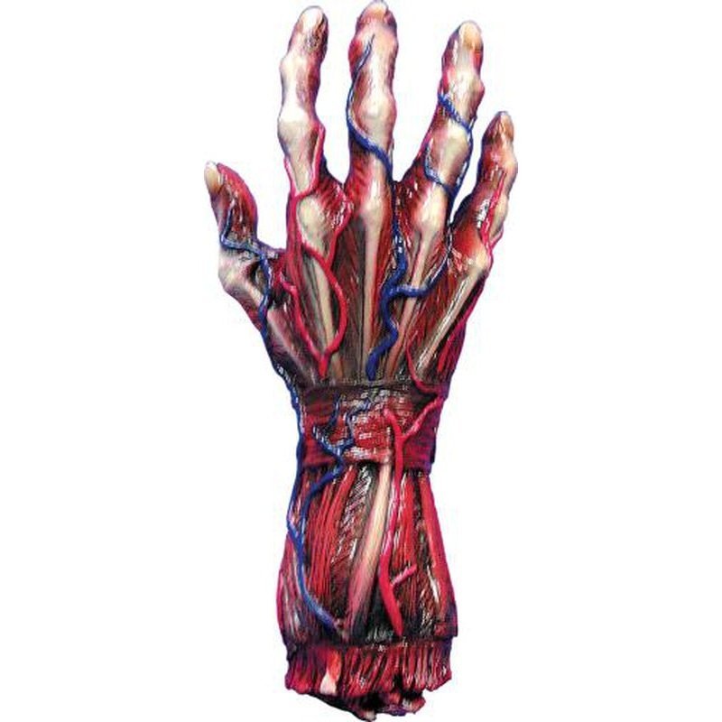 Skinned Right Hand - Jokers Costume Mega Store