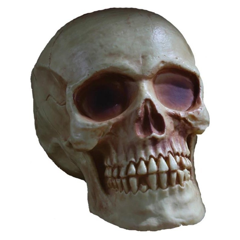 Skull Natural Brown Prop 20cm - Jokers Costume Mega Store