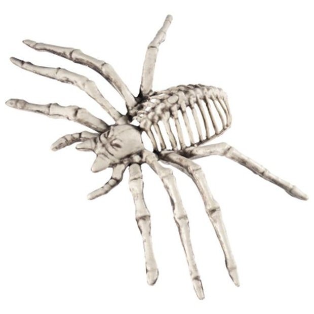Small Spider Skeleton Prop - Jokers Costume Mega Store