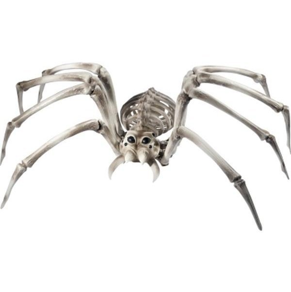 Spider Skeleton Prop - Jokers Costume Mega Store
