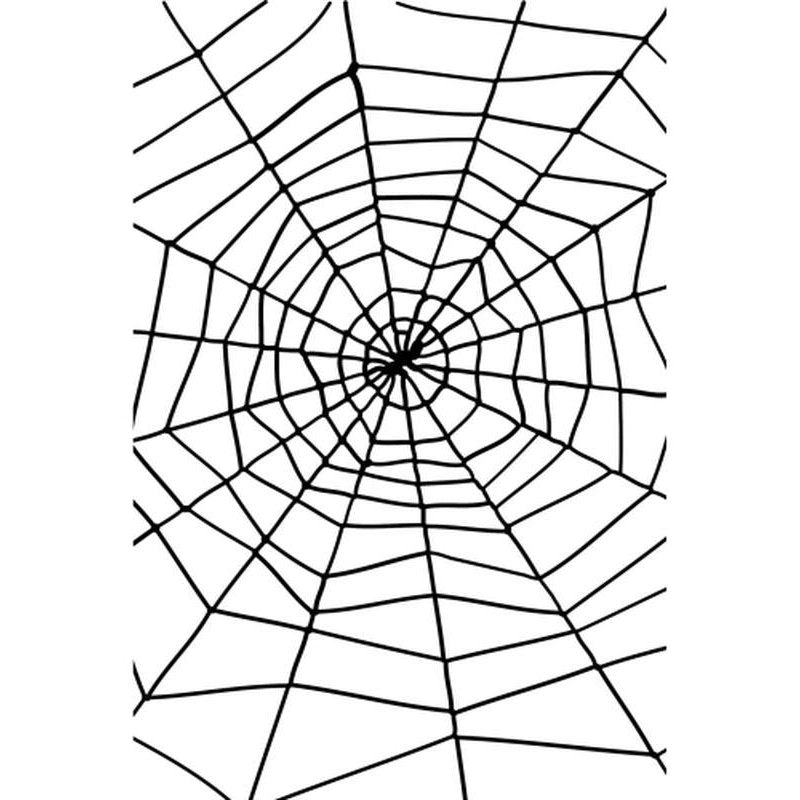 Spider & Spiders Web - Jokers Costume Mega Store