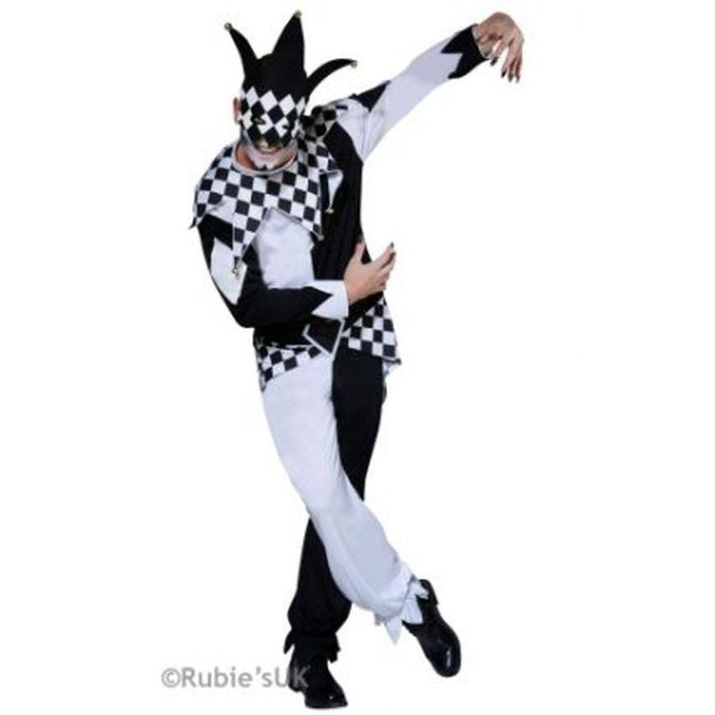 The Dark Jester Costume Size Std - Jokers Costume Mega Store