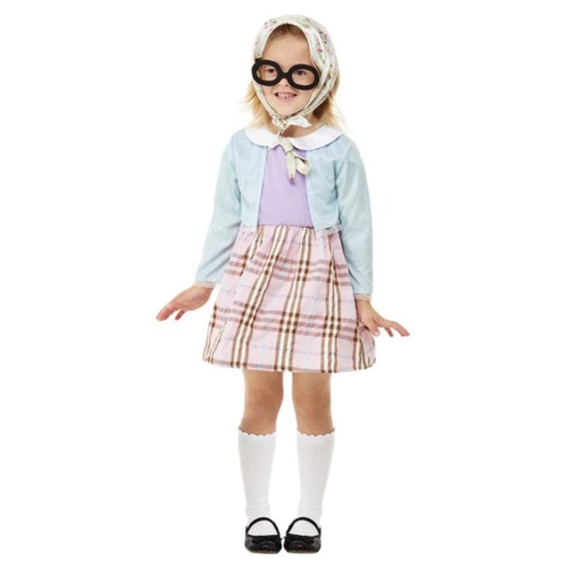 Toddler Old Lady Costume, Blue - Jokers Costume Mega Store