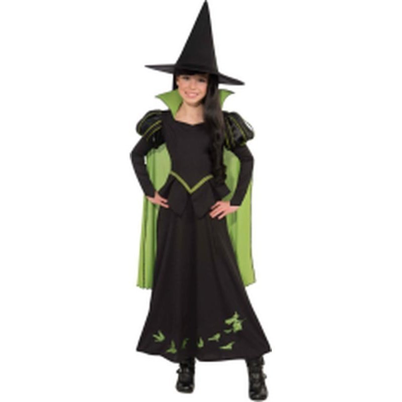 Wicked Witch Of The West Size L - Jokers Costume Mega Store